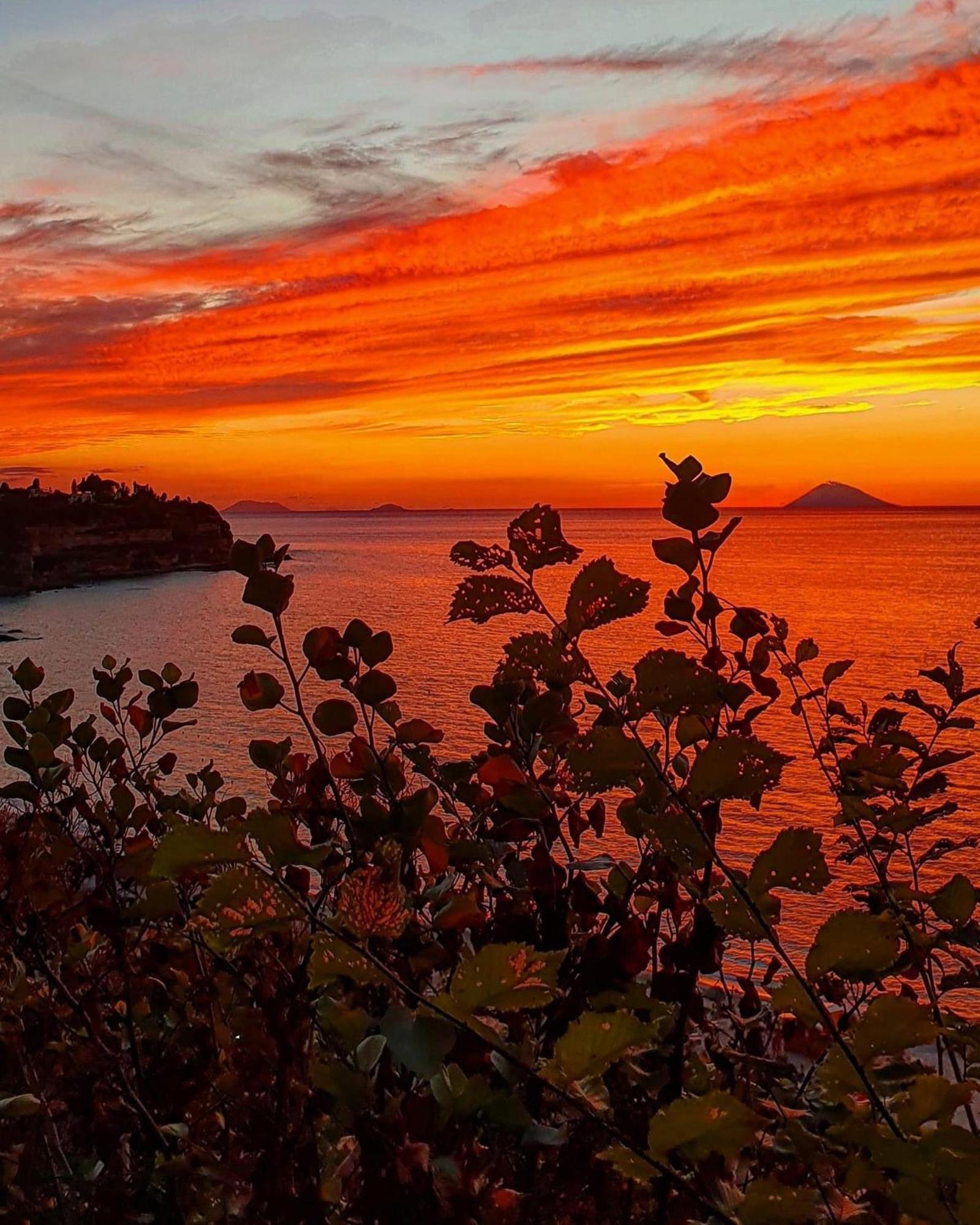 الشقق الفندقية Ciaramitiفي  Bloom Tropea المظهر الخارجي الصورة